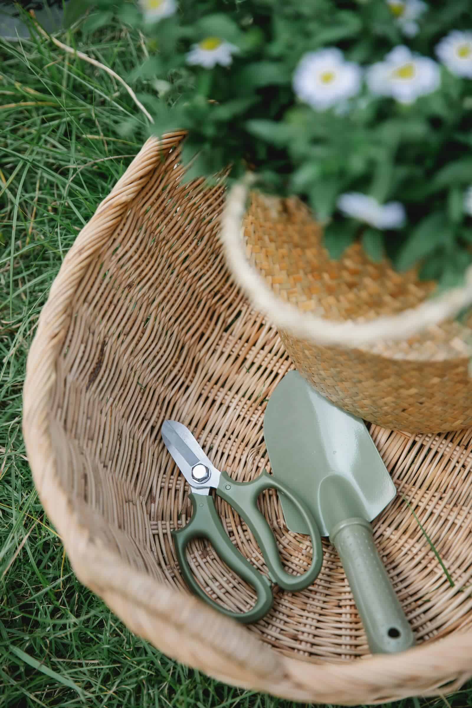 Basket tools min