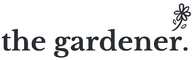 Ff logo